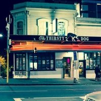 The Thirsty Dog Tavern & Cafe, Auckland