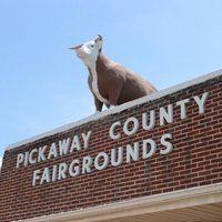 Pickaway County Fairgrounds, Circleville, OH