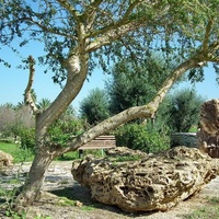 Rocks Garden, Tel Aviv-Yafo