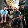 Alien Ant Farm