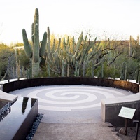 Desert Botanical Garden, Phoenix, AZ