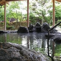 Gorilla House, Shizuoka