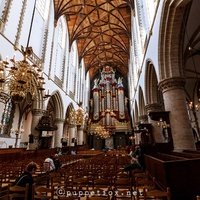 The St. Bavo Church, Haarlem