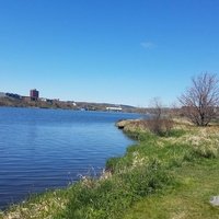 Quidi Vidi Lake Dog Park, St. John's