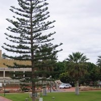 Queens Park, Geraldton
