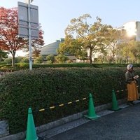 Hiroshima Green Arena, Hiroshima