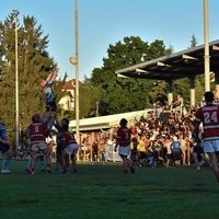 Rugby, Varese