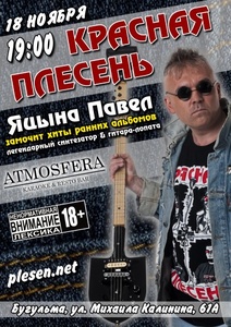 Concert of Красная плесень 18 November 2022 in Bugulma