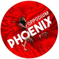 Poppodium Phoenix, Breda