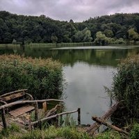 Holosiivskyi National Natural Park, Kyiv