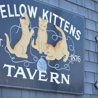 The Yellow Kittens, New Shoreham, RI