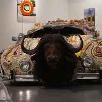 Art Car Museum, Houston, TX