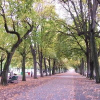 Promenade des Bastions, Geneva