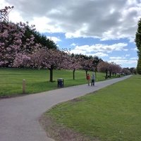 Bellahouston Park, Glasgow