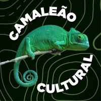 Camaleao Cultural, Curitiba
