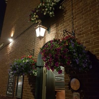 The Blossoms, Manchester