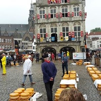 Gouda