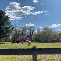 Eagle's Nest Farm, Brockway, PA