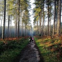 Sherwood Pines Forest Park, Mansfield