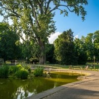 Stadtpark, Forchheim