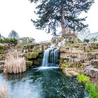Royal Botanic Gardens, London