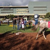 Santa Anita Park, Arcadia, CA