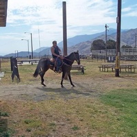 A.C. Dysart Equestrian Center, Banning, CA