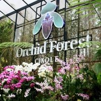Orchid Forest Cikole, Bandung