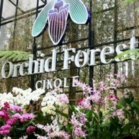 Orchid Forest, Bandung