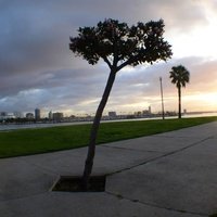 Queen Mary Events Park, Long Beach, CA
