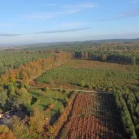 Cannock Chase Forest, Rugeley