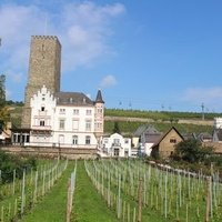 Rüdesheim am Rhein