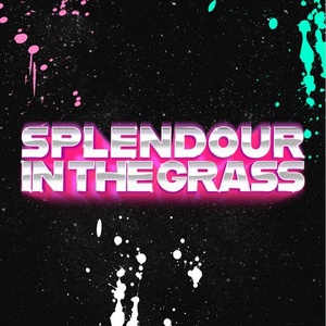 Splendour In The Grass 2022 bands, line-up and information about Splendour In The Grass 2022