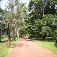 Durban Botanic Garden, Durban