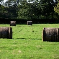 Umberslade Farm Park, Solihull