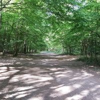 Hainault Forest Country Park, Ilford