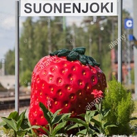 Suonenjoki central field, Suonenjoki