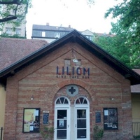 Liliom Kino, Augsburg