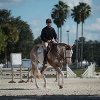 Bob Thomas Equestrian Center, Tampa, FL