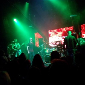Rock gigs in CatHouse Club, Tallinn