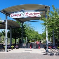 Europa Rosarium, Sangerhausen