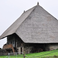 Strohdachhaus, Hüttikon