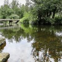 Yabba Creek, Imbil