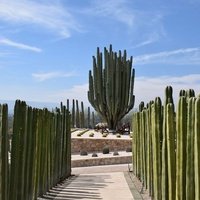 Jardines de México, Tehuixtla