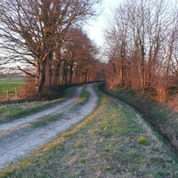 Thijlingerhof, Steenwijkerwold