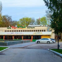 Villa Crocodila, Poltava