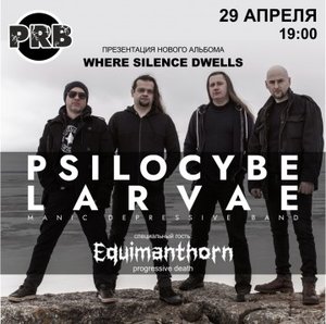 Gig of Psilocybe Larvae 29 April 2023 in Kirov
Gig of Psilocybe Larvae 29 April 2023 in Kirov